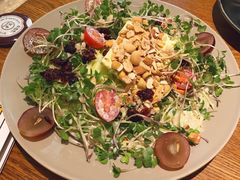 -机器人火炉披萨