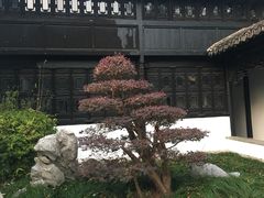 -绮园景区