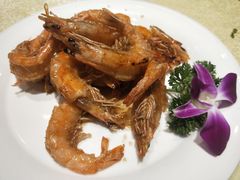 -新侨小馆(东直门北小街店)