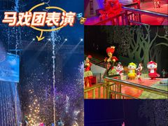 -灵玲国际马戏城
