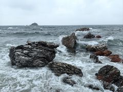 -养马岛旅游度假区