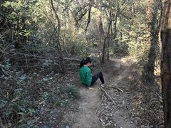 -青龙山国家森林公园