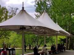 -长春公园(普阳街道)