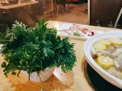 -龙泉人椰子鸡.糟粕醋.海南菜(三亚旗舰店)