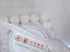 -洪馨椰子