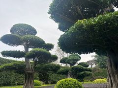 -南宁南湖公园