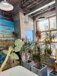-竹马造型工作室