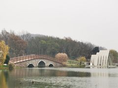 -大塘金香草谷