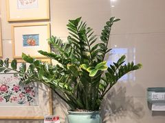 -一记面馆·云吞面嘅专家(富华店)