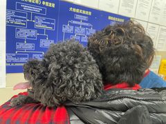 -申普宠物医院·眼科·心内科·影像科(普陀分院)