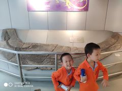 -中国地质大学逸夫博物馆