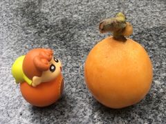 -Olé精品超市(广州太古汇店)