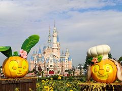 -上海迪士尼度假区