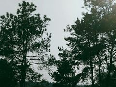 -南京市无想山景区