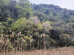 -会稽山峡洞漂流-上青古道