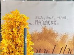 -石家庄万象城