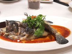 清蒸龙趸鱼-唐宫海鲜舫