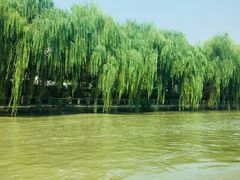 -运河游船(武林门码头)