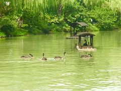 -花园茶楼(兴城西路店)