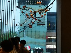 -耿福兴(罍街店)