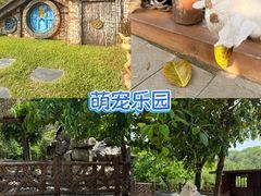 -佛冈森波拉度假区