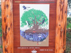 -华侨城湿地公园