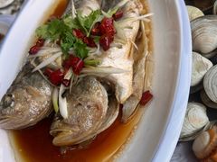 -日照大牌檔•小船海鲜(万平口店)