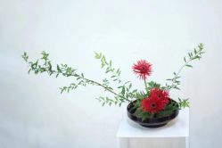 -今日陶艺(富力广场店)