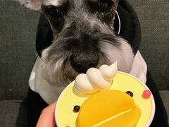 -多乐之日(华贸天地店)