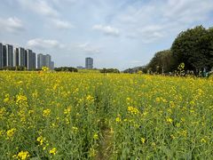 -光明小镇欢乐田园