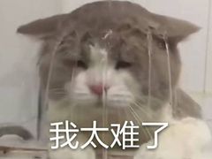-积慕Cake(解放大道店)
