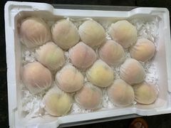 -江杨农产品批发市场