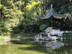 -深圳国际园林花卉博览园