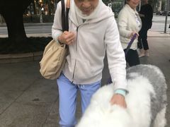 -Pantry's Best派悦坊蛋糕(K11购物艺术中心店)