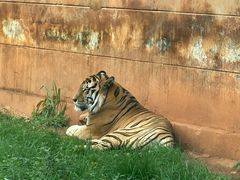 -昆明动物园