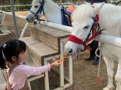 -迪茵湖田家舍生态农场
