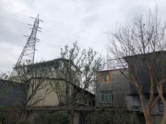 -金科花卉市场