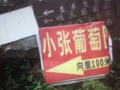 -马陆小张葡萄园农家乐
