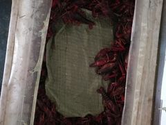 -老梅园大虾城(河西店)