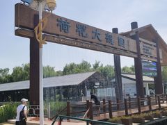 -白洋淀景区