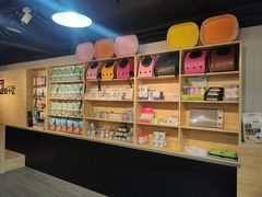 -猫十亿·布偶金渐层·曼基康矮脚猫舍(青年路店)