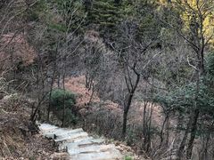 -明堂山风景区