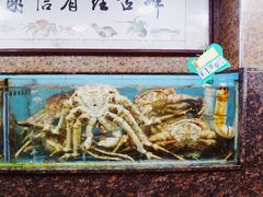 水产区-龙眼市场(龙眼南路店)