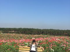 -北纬44度·金珠花海休闲农业旅游景区