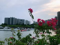 -碧桂园十里银滩