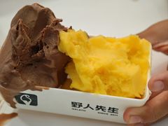 -野人先生现做冰淇淋(北京环宇荟店)