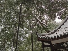 -缙云山景区