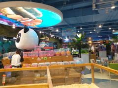 -龟与熊猫宠物公园(南坪店)