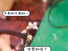-宠物兔专门店(天丰利市场店)