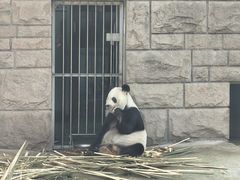 -北京动物园